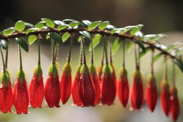 东莞横沥私人快速借钱网，轻松解决资金难题