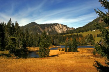 东莞横沥民间私贷攻略：揭秘低成本借贷的秘密