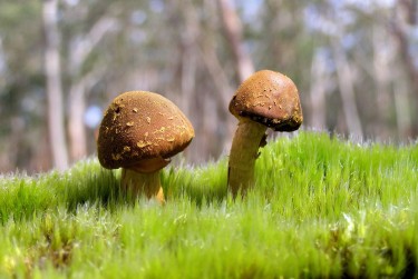 东莞横沥私人老板放款：轻松融资的秘密通道